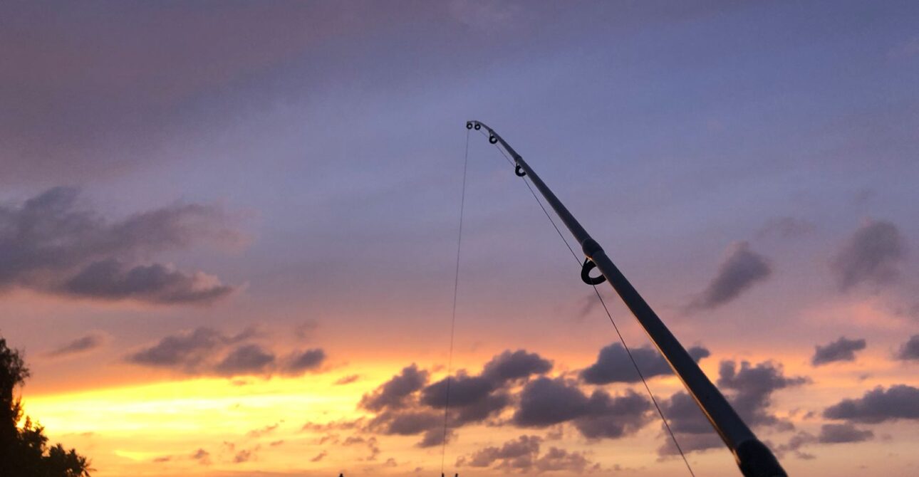 The Ultimate Guide to Fishing in Punta Cana: A Paradise for Anglers