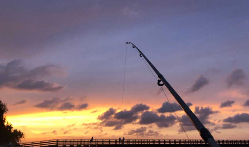 The Ultimate Guide to Fishing in Punta Cana: A Paradise for Anglers