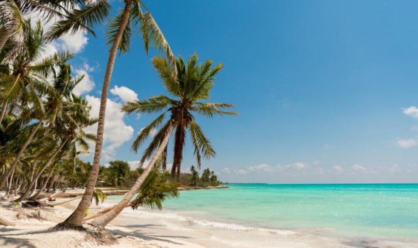 Saona snorkel with Food and drinks From Bayahibe